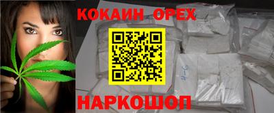 прущие крисы Славгород
