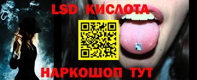 гидропоника Сланцы