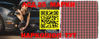 гидропоника Сланцы