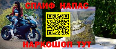 прущие крисы Славгород
