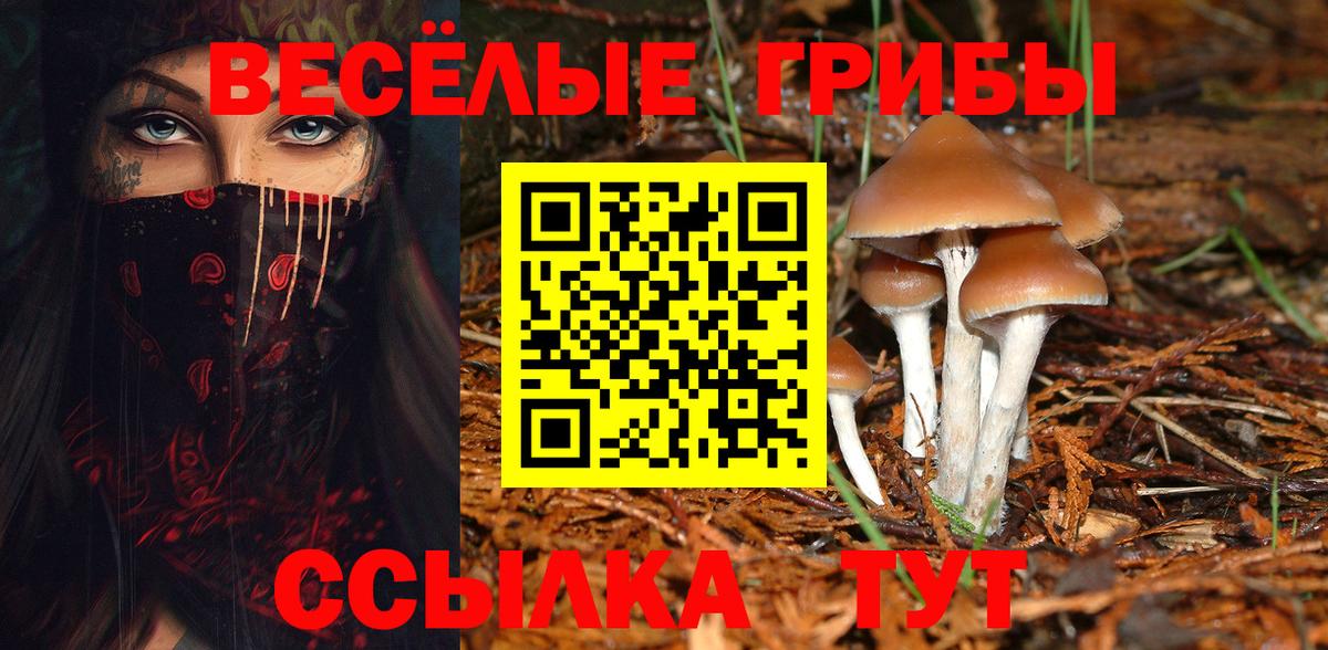 Галлюциногенные грибы GOLDEN TEACHER Норильск