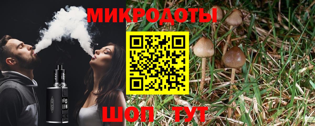магазин продажи наркотиков  Галлюциногенные грибы мицелий  Вход с VPN  Норильск 